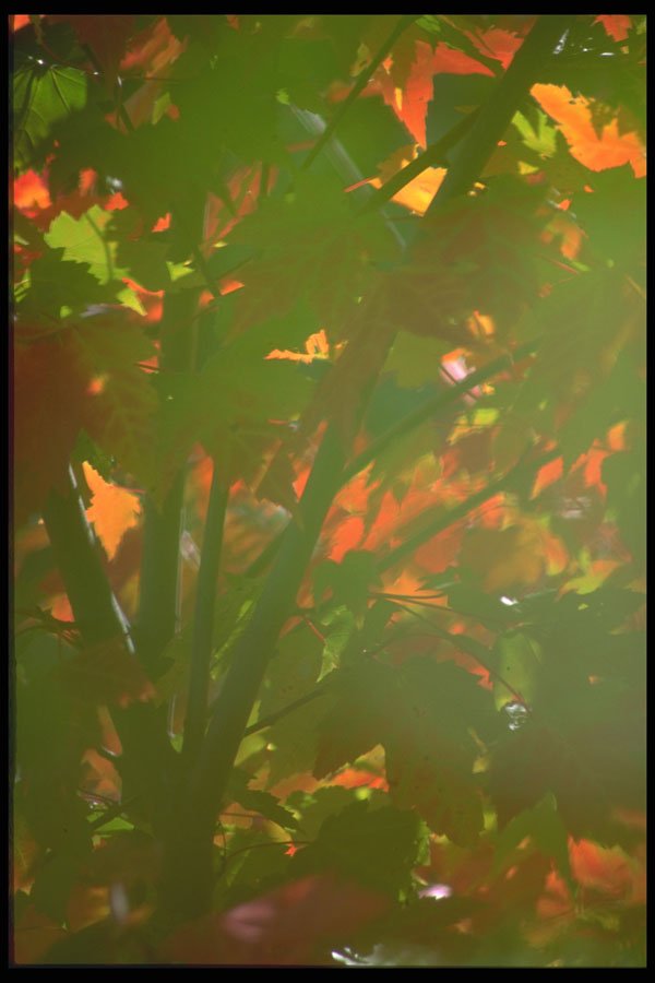 404057 Color Screen A4 Photo Print