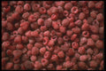404065 Raspberries A4 Photo Print