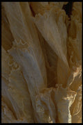 404067 Wilted Cabbage Leaves A4 Photo Print
