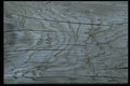 404077 Driftwood Close up A4 Photo Print