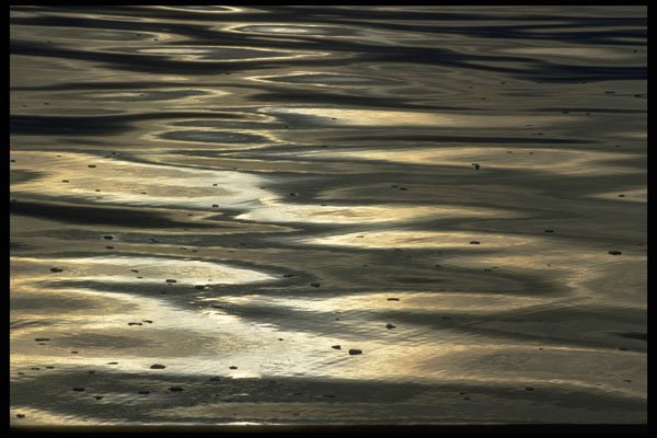 404078 Sea Surface Close To Freezing A4 Photo Print