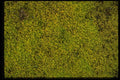 404082 Moss Bed A4 Photo Print