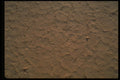 404086 Desert Mud A4 Photo Print