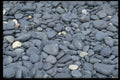 404087 Wave rounded Stones A4 Photo Print