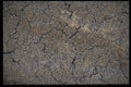 404089 Dried Grassland Soil A4 Photo Print