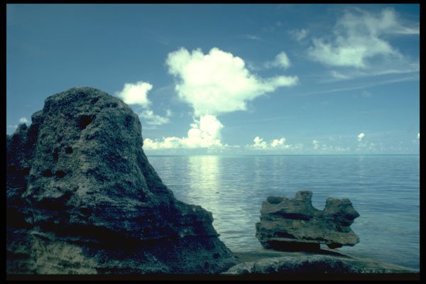 405003 Rock Formations, Bermuda A4 Photo Print