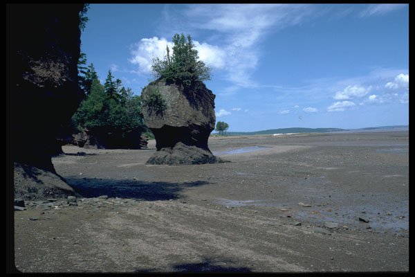 405015 Hopewell Cape, New Brunswick A4 Photo Print