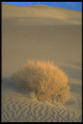 405051 Desert Dunes A4 Photo Print