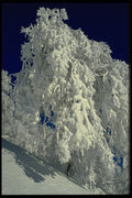 405056 Winter Landscape, New England A4 Photo Print