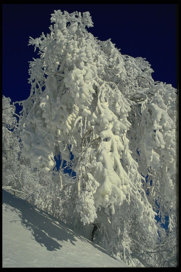 405056 Winter Landscape, New England A4 Photo Print