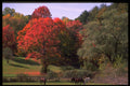 405058 Autumn Landscape, New England A4 Photo Print