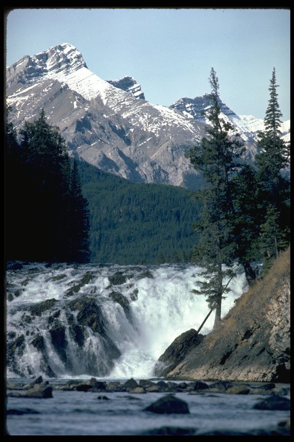 405063 Bow River, Alberta A4 Photo Print