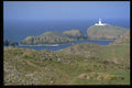 405066 Strumble Head Lighthouse, England A4 Photo Print