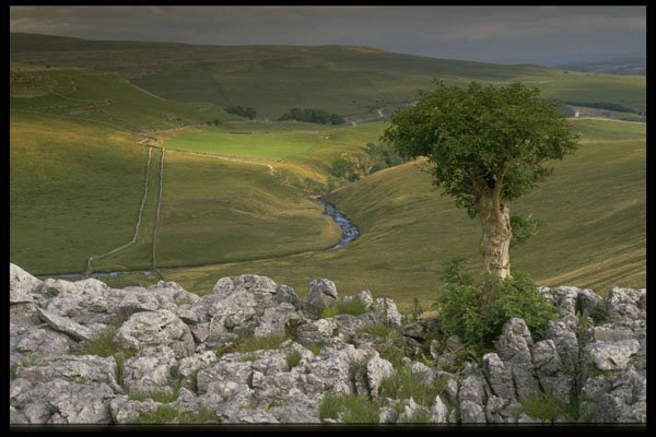 405080 Mountain Ash And River Twiss, England A4 Photo Print