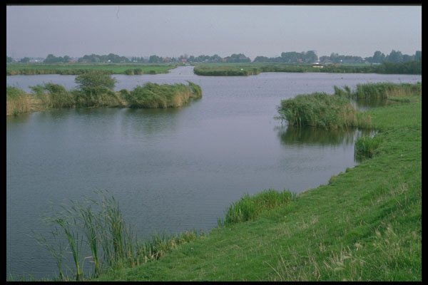 405091 Polder Landscape At Westzann, Netherlands A4 Photo Print
