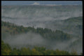 405095 Rising Mist A4 Photo Print
