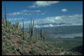 405097 Roosevelt Lake From Tonot National Monument, Arizona A4 Photo Print