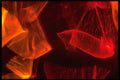 406005 Translucent Red orange Wisps A4 Photo Print
