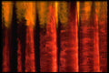 406007 Red gold Columns A4 Photo Print