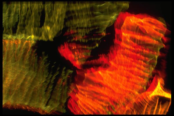 406015 Smeared Green red A4 Photo Print