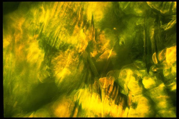 406016 Mottled Greenish Yellow A4 Photo Print