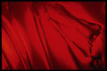 406018 Radiant Red A4 Photo Print