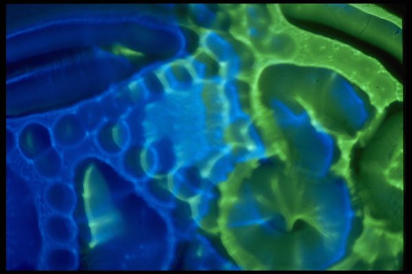 406022 Splotchy Green blue A4 Photo Print