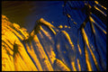 406034 Crystalline Blue yellow A4 Photo Print