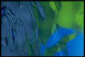 406035 Green blue Waves A4 Photo Print