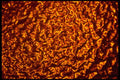 406043 Red orange Ripple A4 Photo Print