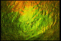 406044 Gleaming Gold green A4 Photo Print