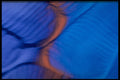 406045 Blue Bulges A4 Photo Print