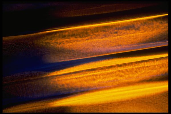 406046 Gold blue Streaks A4 Photo Print