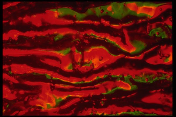406048 Undulating Red green A4 Photo Print