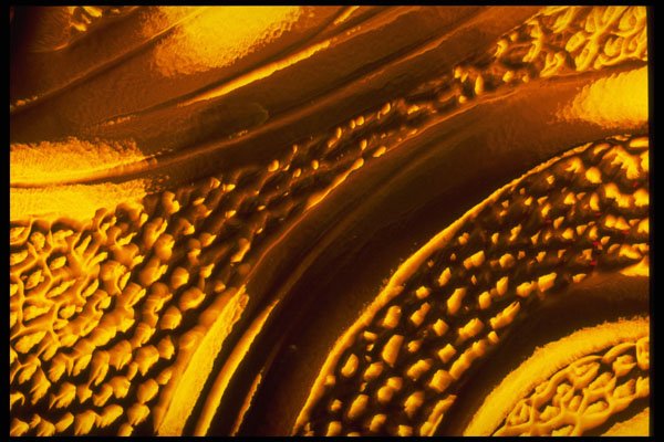 406050 Golden Curves A4 Photo Print
