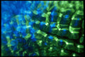 406052 Green blue Glimmer A4 Photo Print