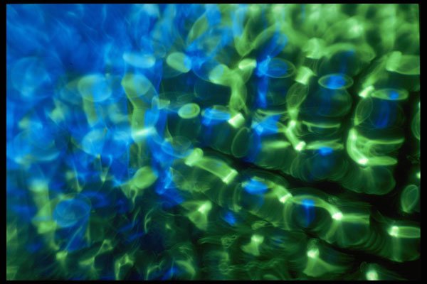 406052 Green blue Glimmer A4 Photo Print
