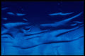 406060 Blue Waves A4 Photo Print