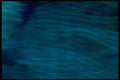 406066 Blue Haze A4 Photo Print