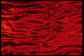 406068 Undulating Red A4 Photo Print