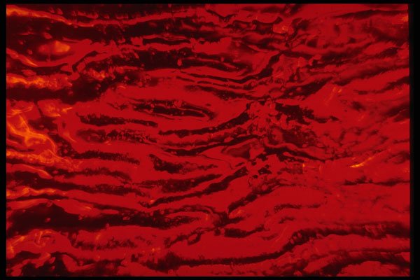 406068 Undulating Red A4 Photo Print