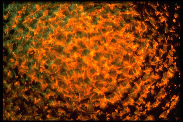 406078 Glimmering Orange A4 Photo Print