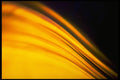 406080 Yellow Diagonal Wisp A4 Photo Print