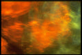 406083 Iridescent Green orange Frost A4 Photo Print