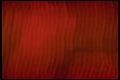 406087 Rippling Red Streaks A4 Photo Print