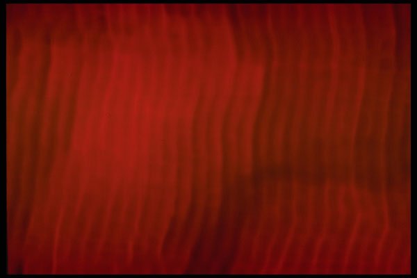 406087 Rippling Red Streaks A4 Photo Print
