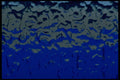 406088 Blue gray Ripples A4 Photo Print