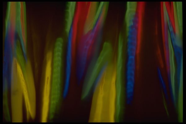 406089 Multicolored Flames A4 Photo Print