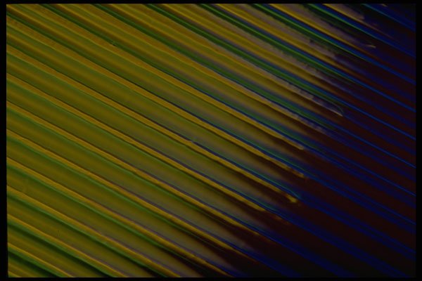 406092 Yellow blue Diagonal Stripes A4 Photo Print