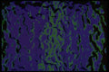 406093 Purple Green Ripples A4 Photo Print